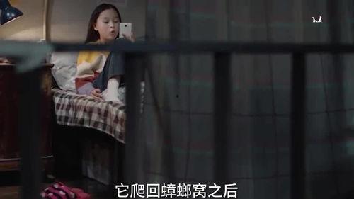 学姐的爆料全集观看视频,揭秘校园风云背后的真相 第2张 学姐的爆料全集观看视频,揭秘校园风云背后的真相 第2张