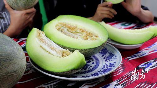 17吃瓜免费吃瓜,畅享夏日瓜果盛宴 第3张 17吃瓜免费吃瓜,畅享夏日瓜果盛宴 第3张