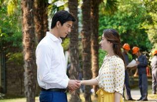 风光大嫁电视剧全集在线观看,浪漫爱情故事，甜蜜人生篇章  第2张